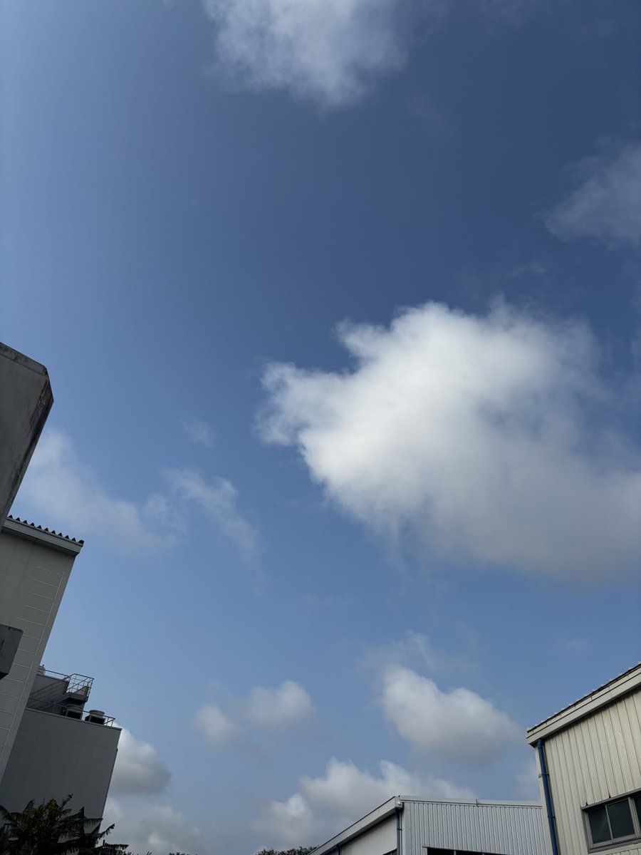 Kamitopia tweet media