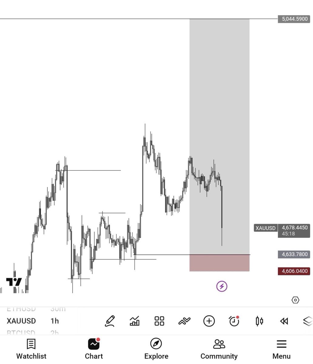 蓮｜FX｜元ジムトレーナー tweet media
