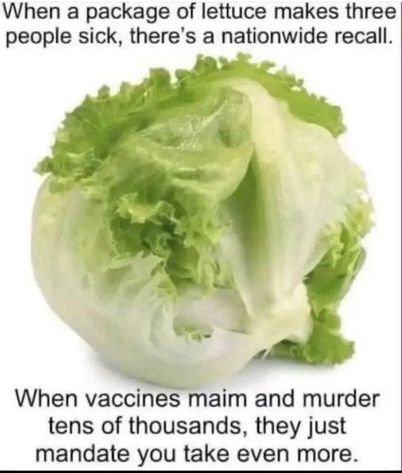 David Wolfe tweet media