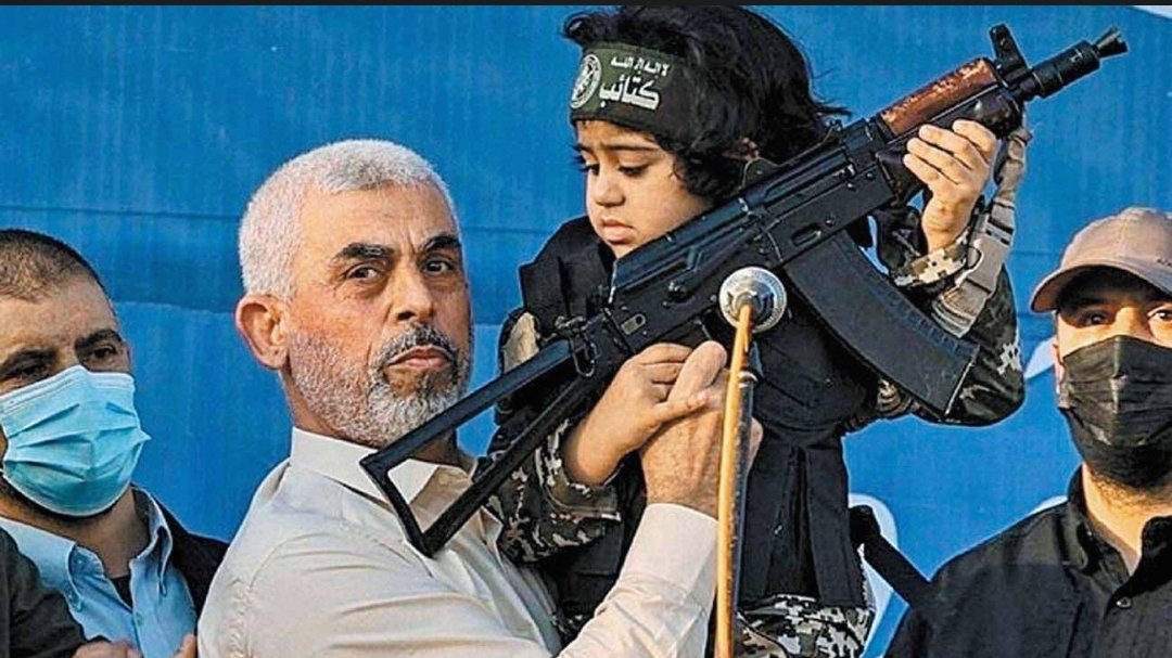 Pedro A.👑💚🇪🇸💚🇪🇸🔺 tweet media