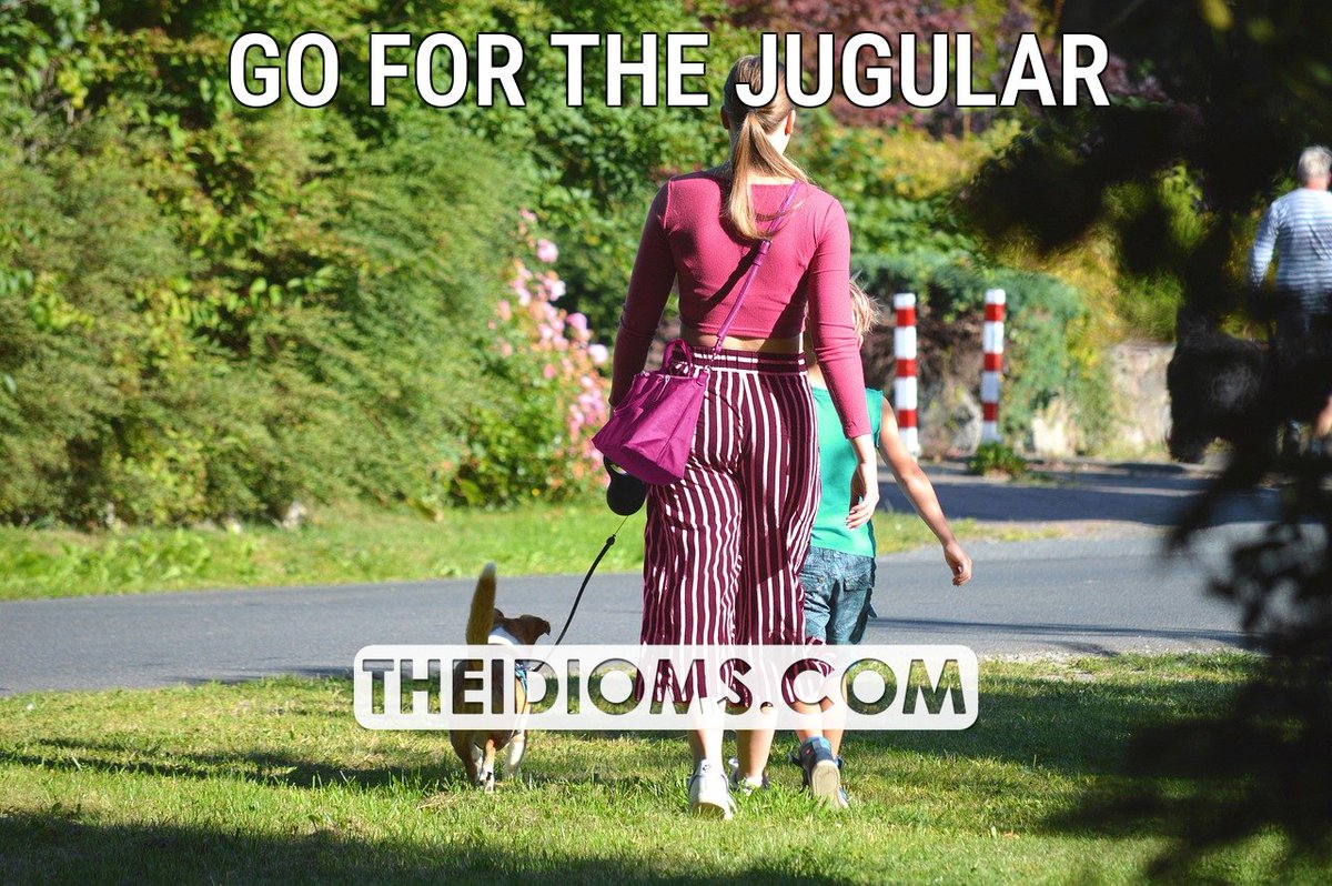 The Idioms tweet media