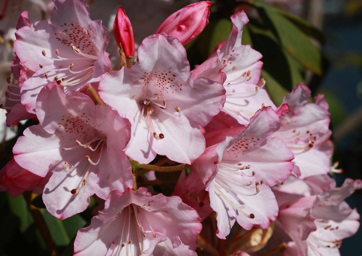 片柳弘史 tweet media