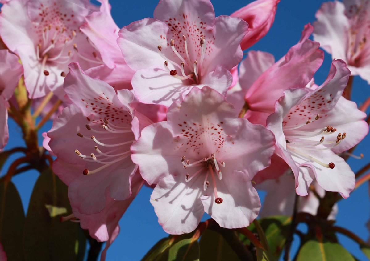 片柳弘史 tweet media