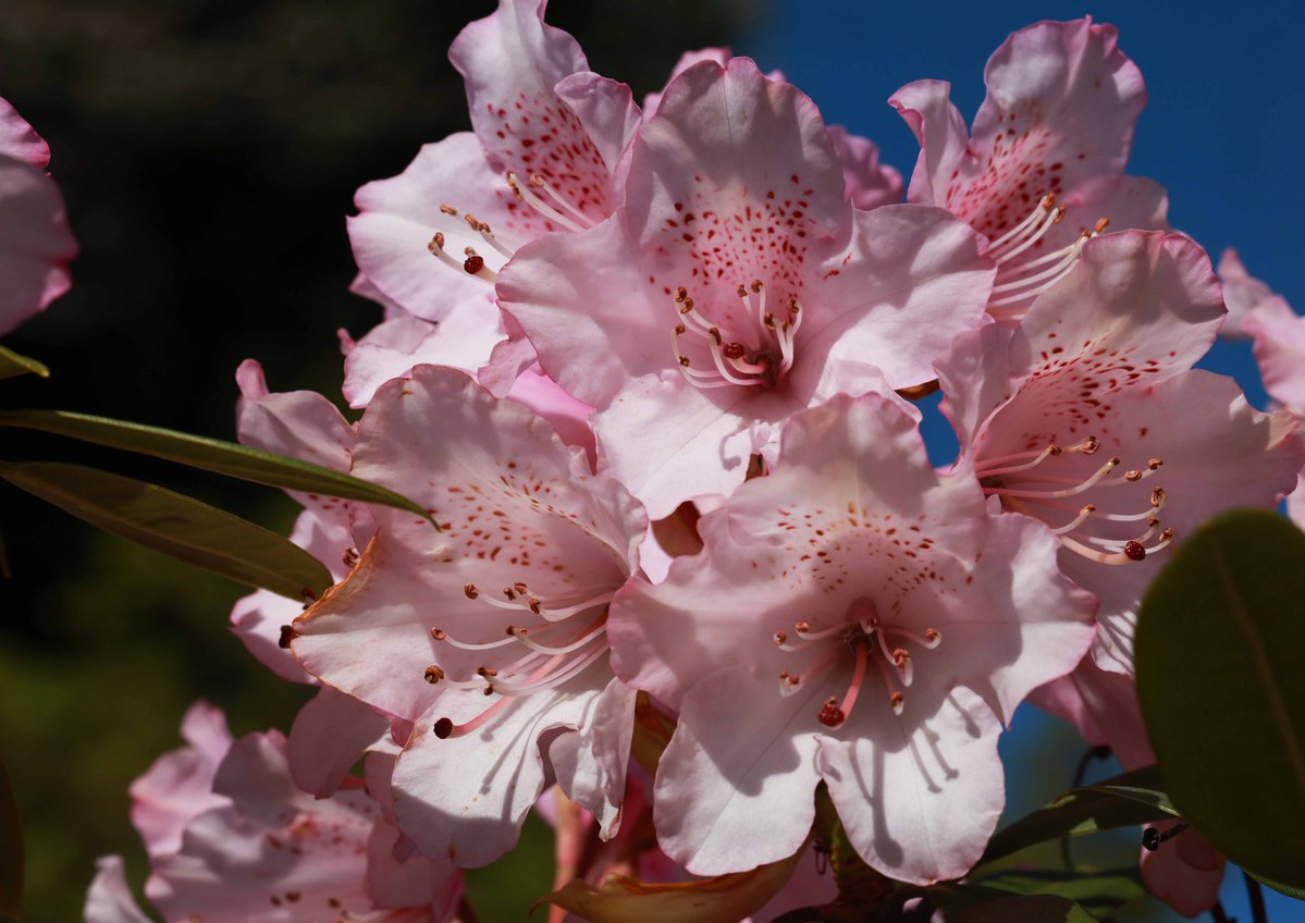 片柳弘史 tweet media