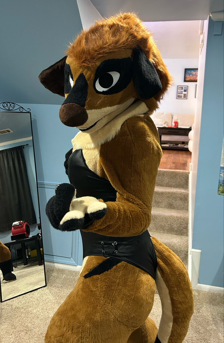 Sid ✈️ tweet media