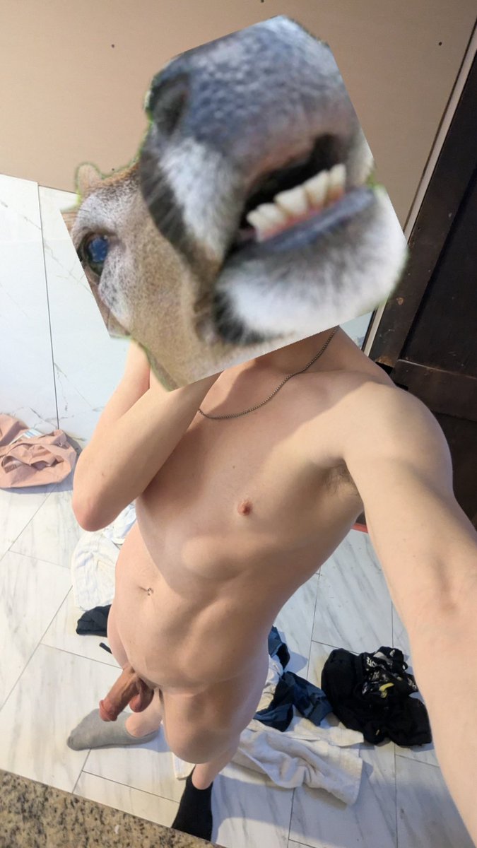 cuck w/ handlebars 🦌 tweet media