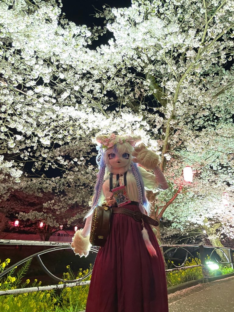 うつのみ~にゃ tweet media