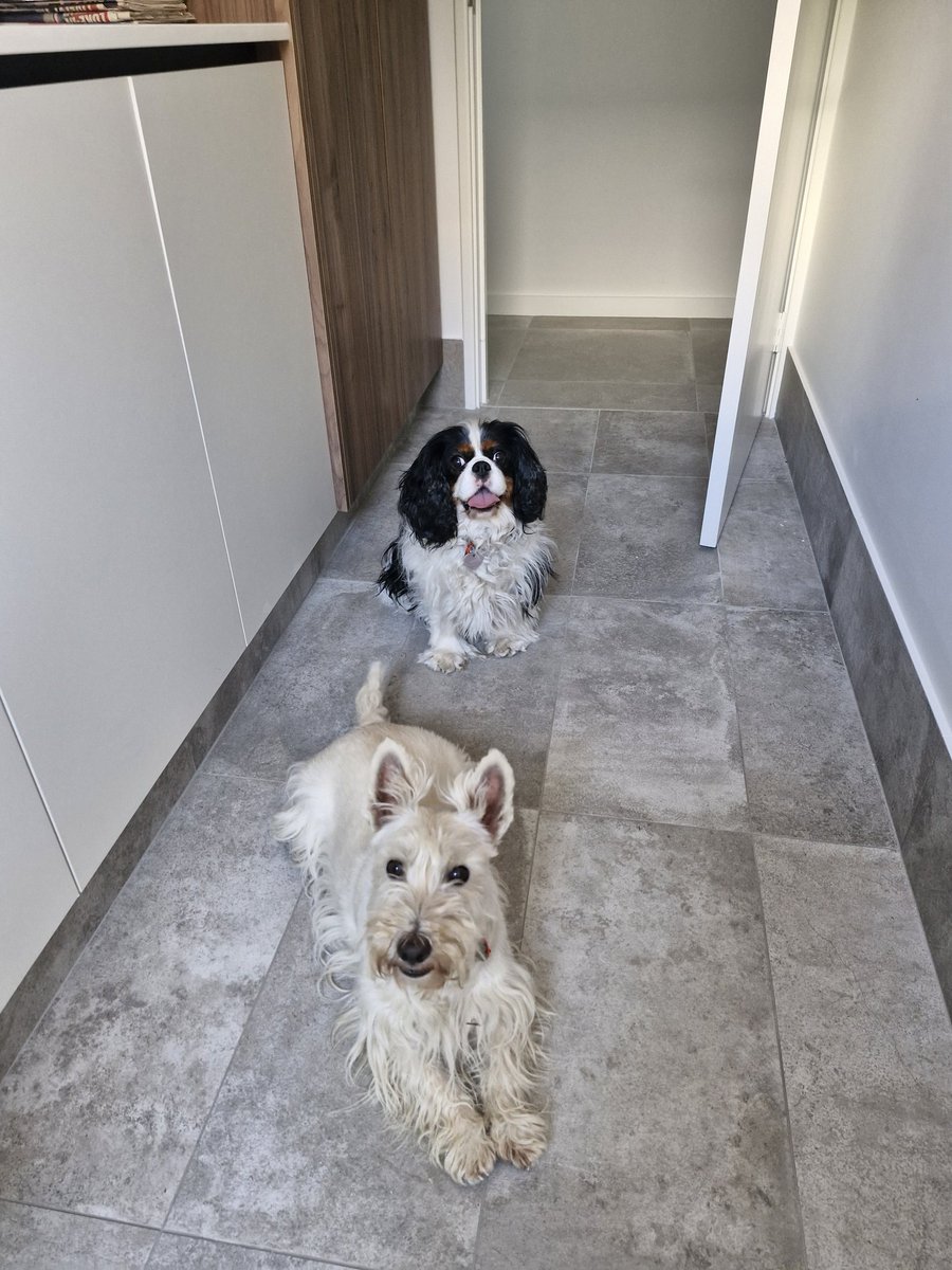 Maggie giver of hugs & goodwill. tweet media