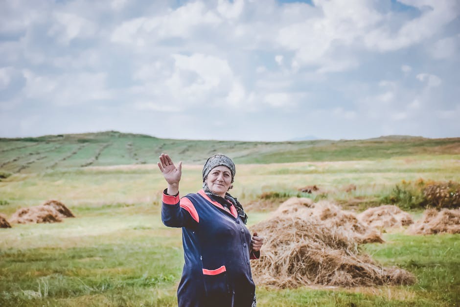 Justin Reynolds tweet media