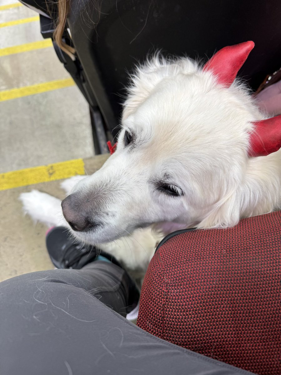 DevilsDogDuo's tweet photo. @NJDevil00 waiting for her favorite person do last game of the season! Still have something for you https://t.co/BZbYa71Cbn