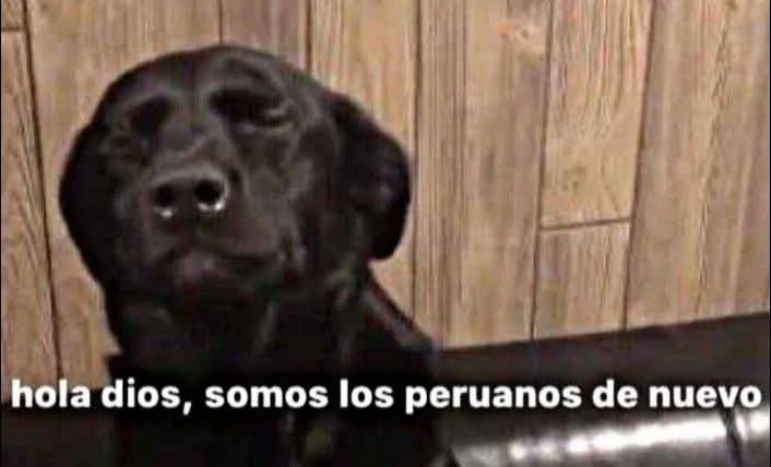 💙 Gia 🇵🇪 ELF 💙 tweet media