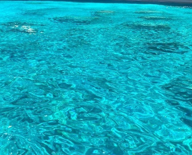 𝑝𝑢𝑟𝑒 tweet media