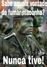 Confederação Brasileira Canábica-Xamânica THC tweet media