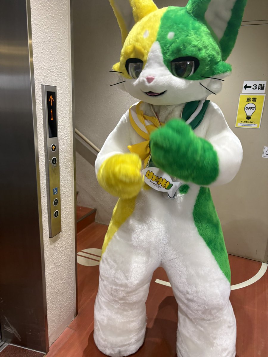 干し柿🐇/🍮🐾📷ﾂｷﾞぷちもふ→漢検一級→グリタイム tweet media