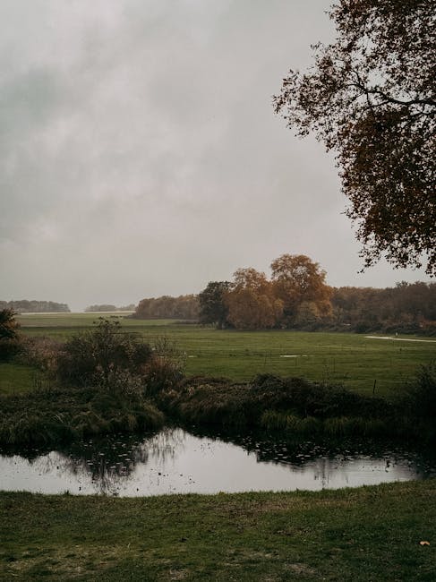 Kevin Pierce tweet media