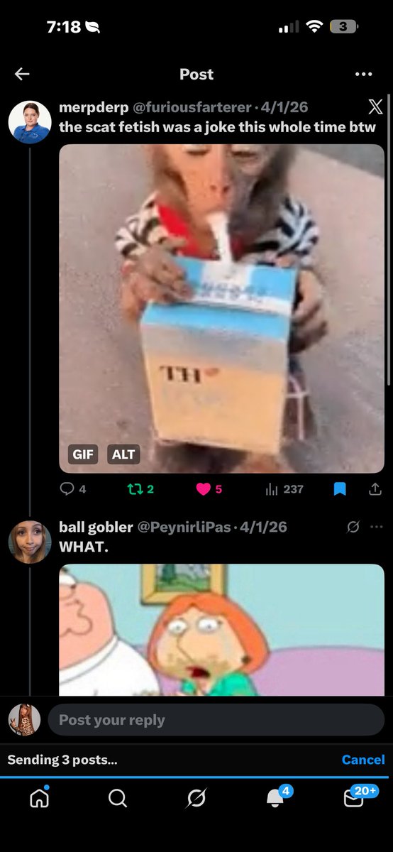 ❀˖°𝒊𝒗𝒚ִ ࣪༯ tweet media