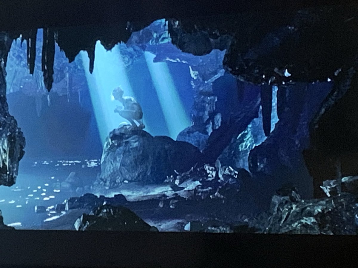 Sarah St. Onge ن ♀🦬 tweet media