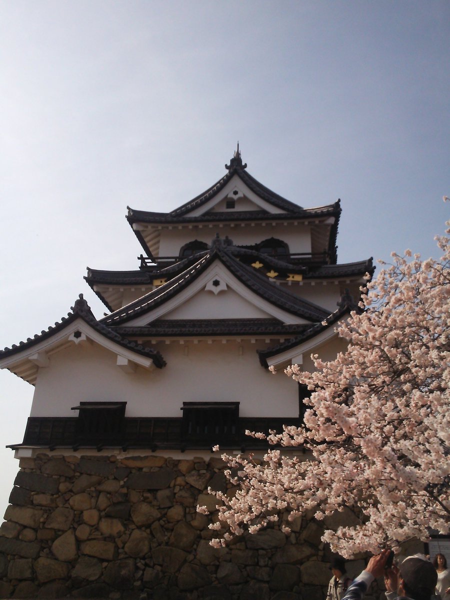 けいてぃー@大爆ﾀﾋ王 tweet media