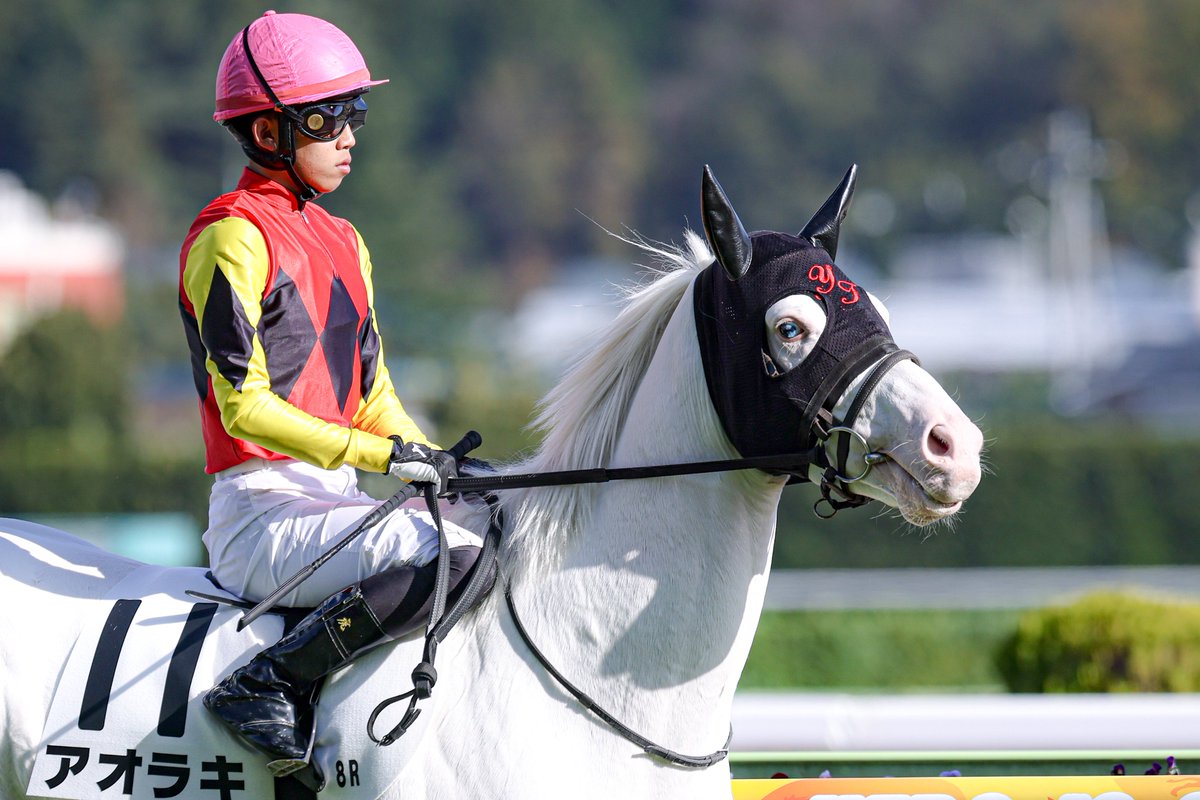 PSPS-KIZUNA tweet media