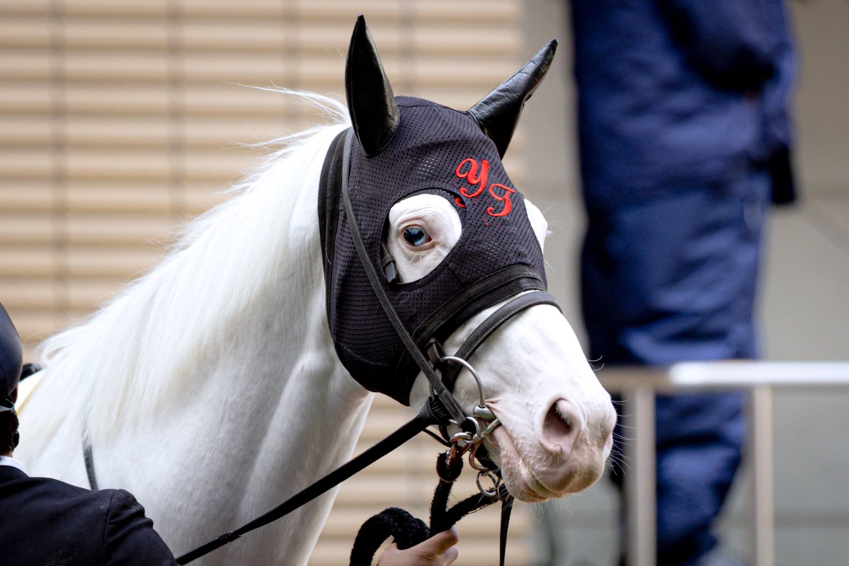 PSPS-KIZUNA tweet media