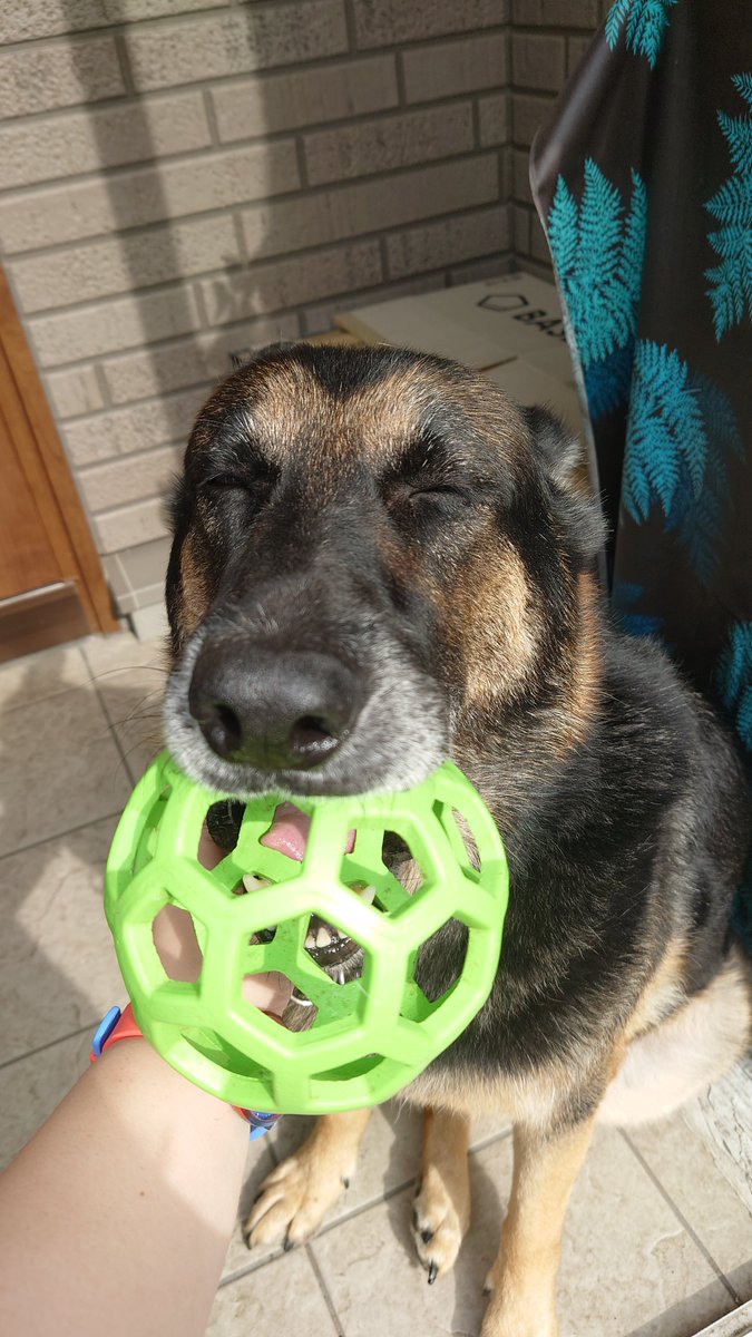 🅼🅰🆁🆂🅷🅰🅻 tweet media