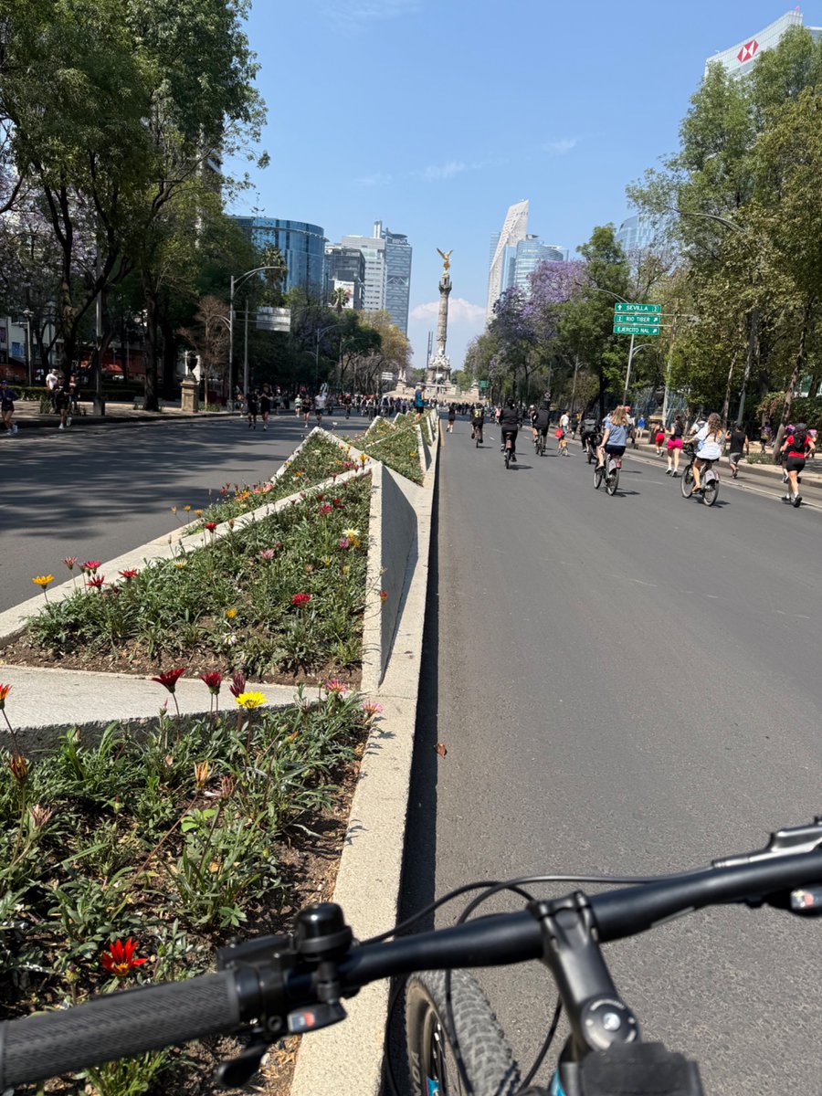 Domingo Deli 💕🧖‍♀️🚴‍♀️