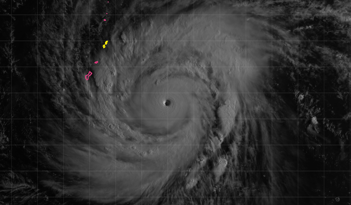 Josh Morgerman tweet media