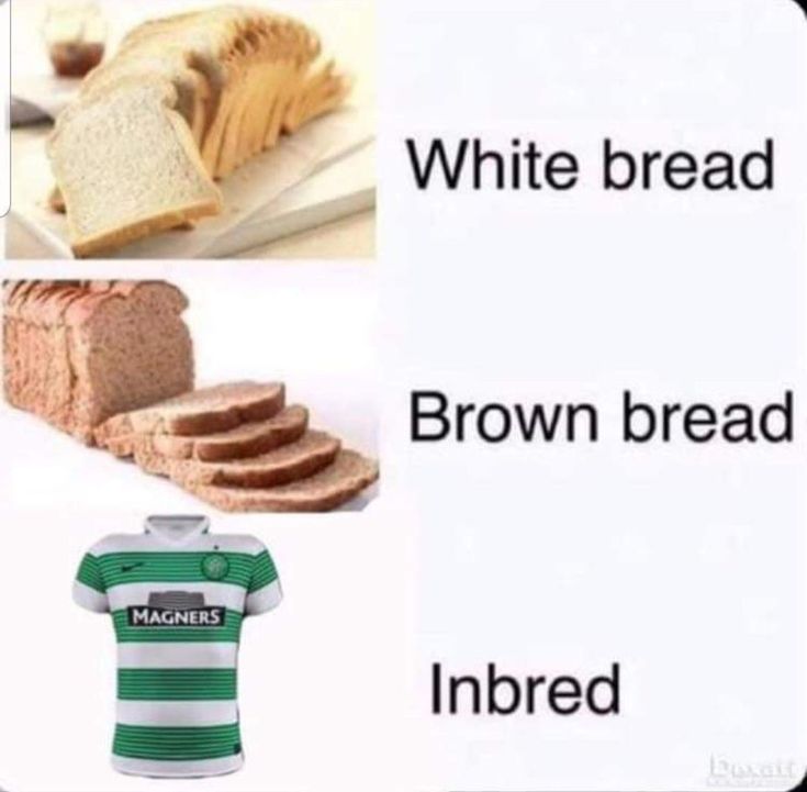 🏴󠁧󠁢󠁳󠁣󠁴󠁿🇬🇧Brad 1872🇬🇧🏴󠁧󠁢󠁳󠁣󠁴󠁿 tweet media