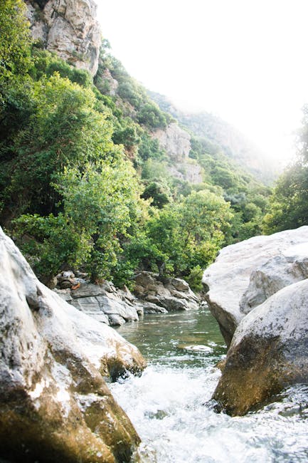 Melissa Gill tweet media