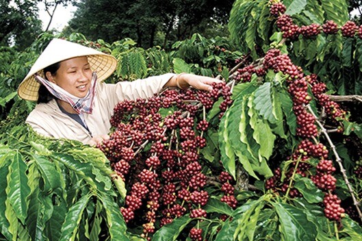 Café Trading Advisors & Judith Ganes tweet media