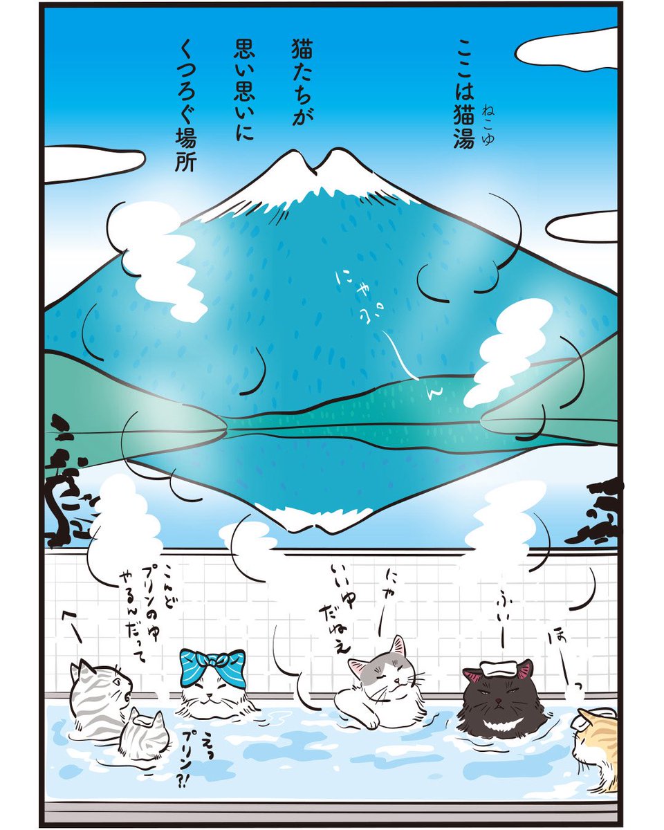 元祖ふとねこ堂 tweet media