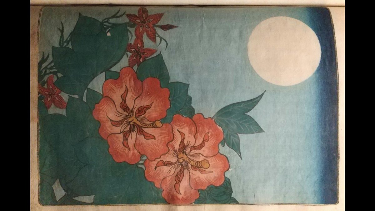 マーガレット廣井《魔》 tweet media