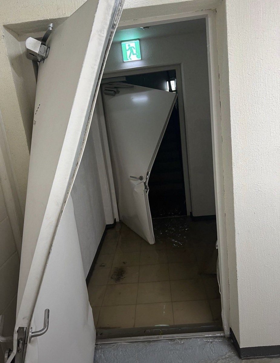 Diego Royet tweet media