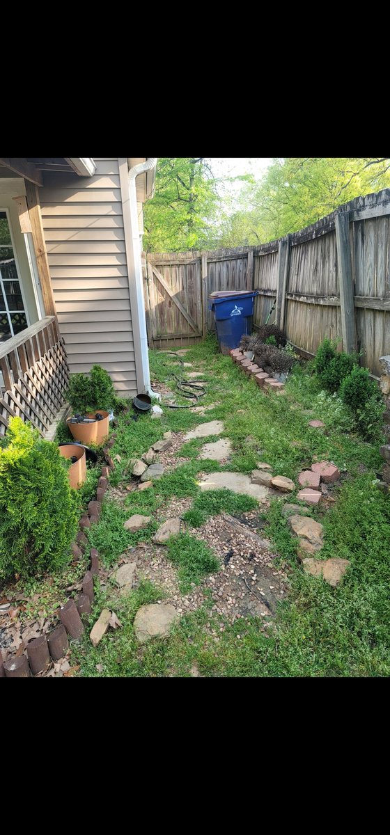 Penelope tweet media