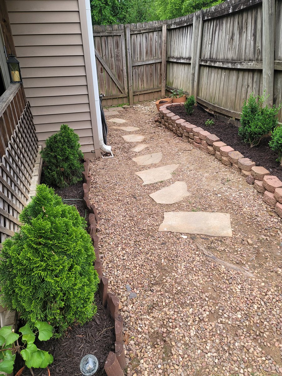 Penelope tweet media