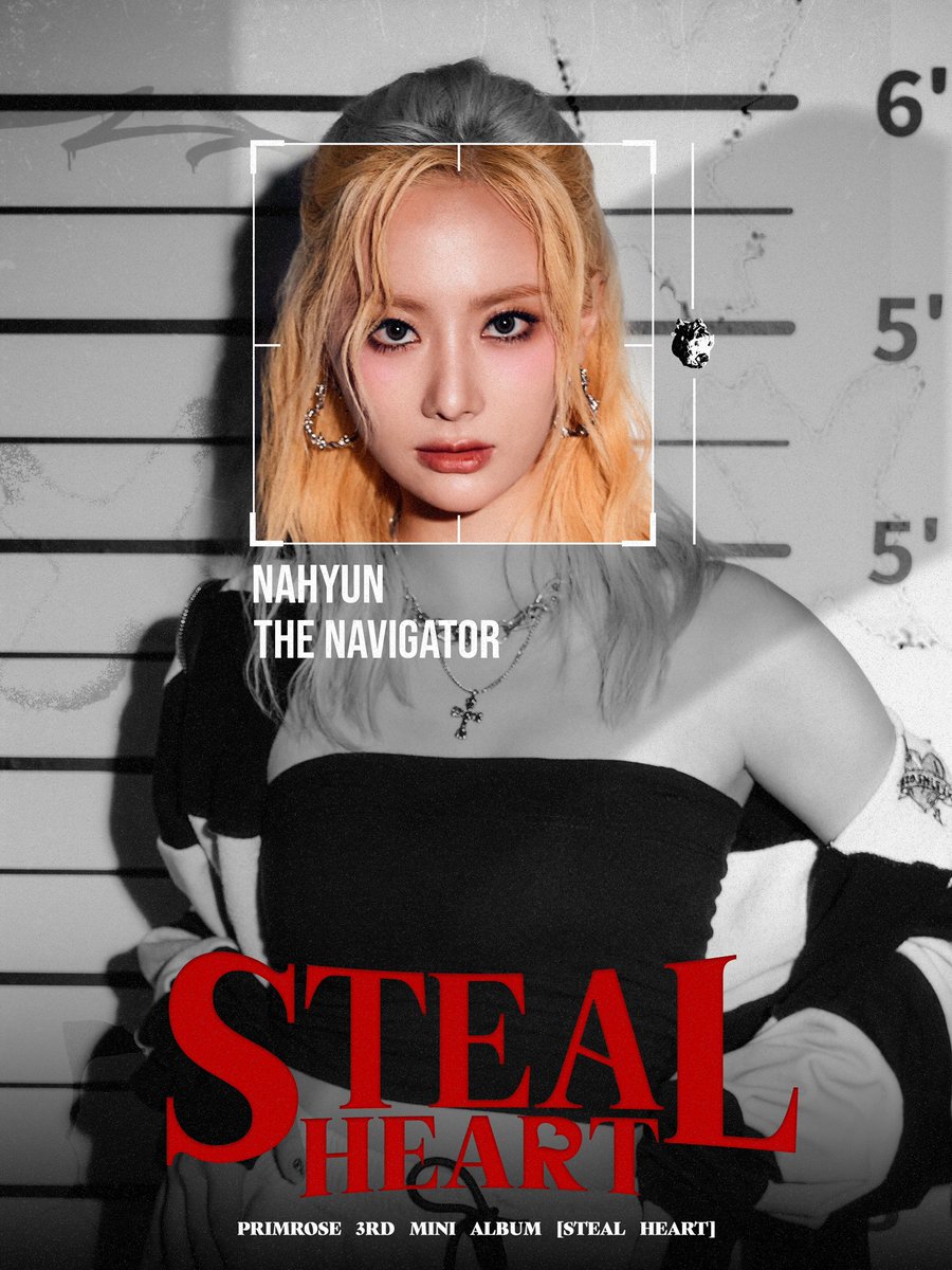 primrose.germany tweet media