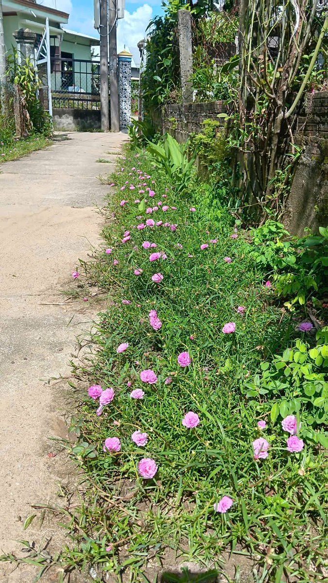 AnNguyen tweet media