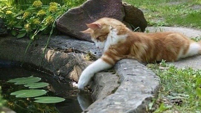 𝑝𝑢𝑟𝑒 tweet media