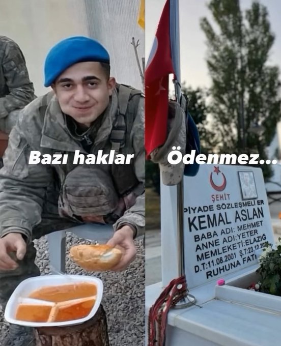 Tigin Bey tweet media