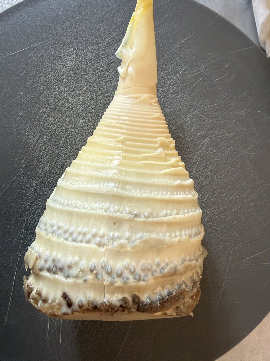 ゆんた tweet media