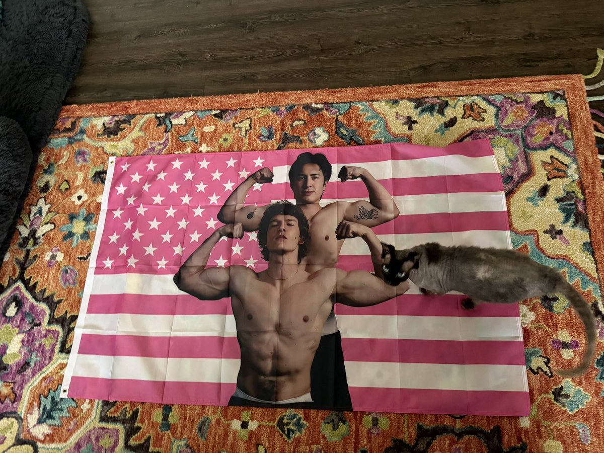 Midwest Tinkle Toad 🐸 tweet media