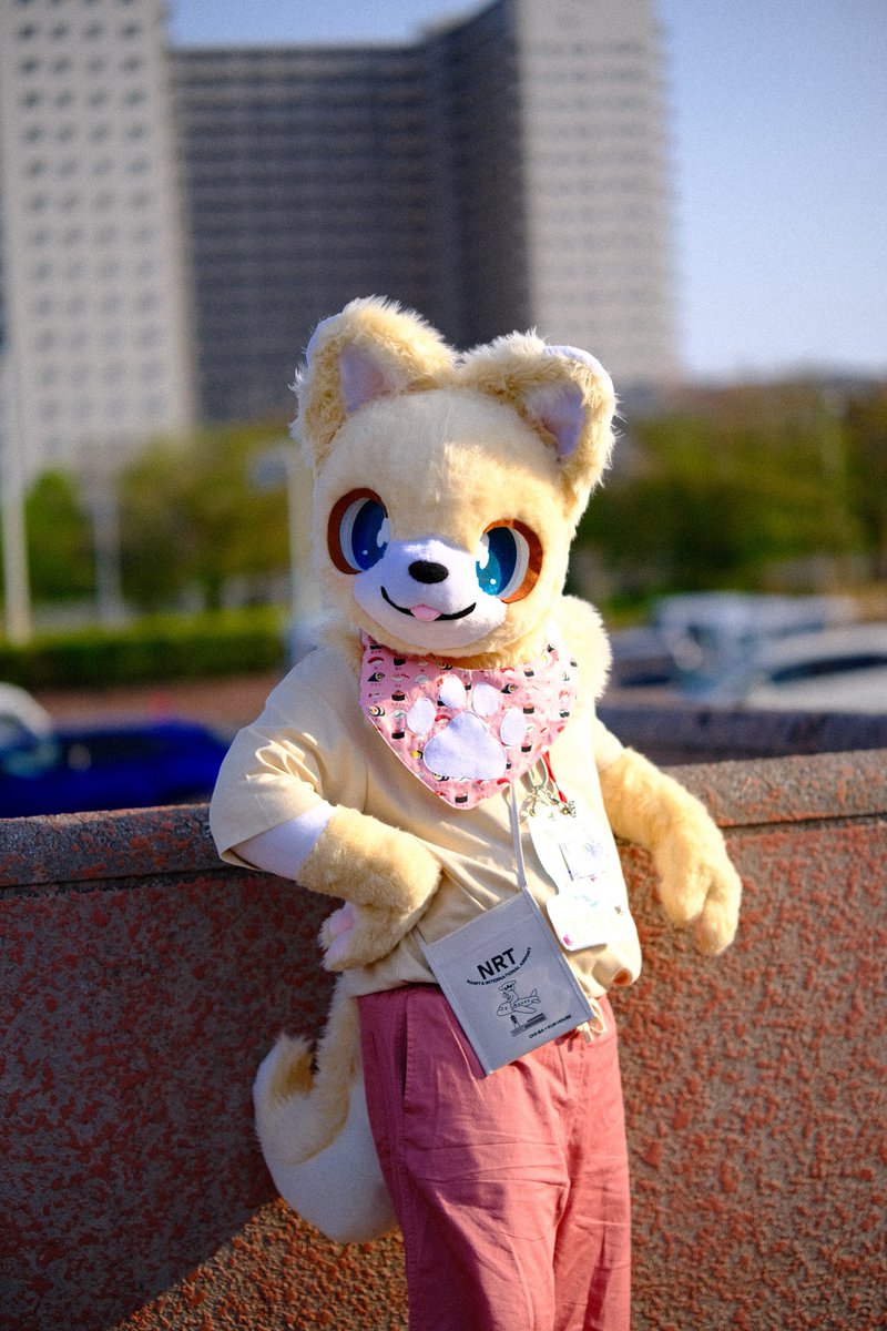 むぎまる🐾 tweet media