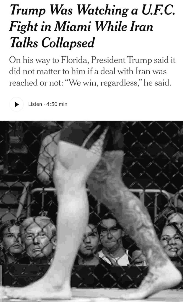 Lee's Perspective tweet media