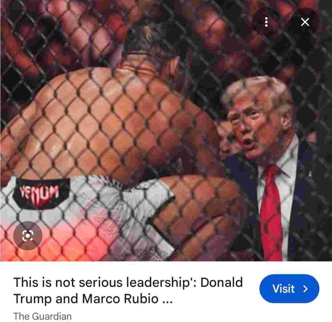 Lee's Perspective tweet media