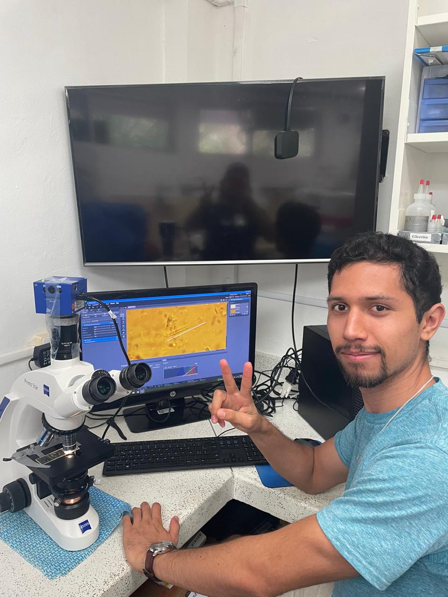 MesoReef DAO 🌊🪸🐠✨ tweet media