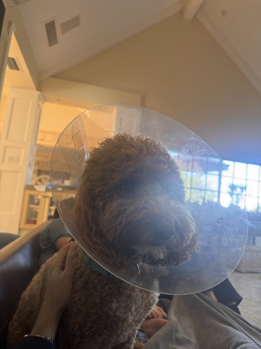 Stacy Rasgon tweet media