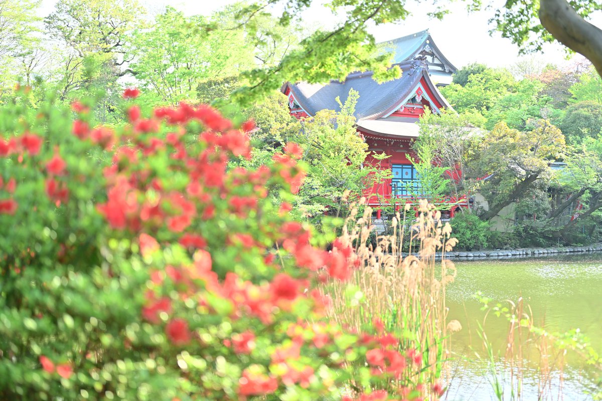 松下 洋輔 tweet media