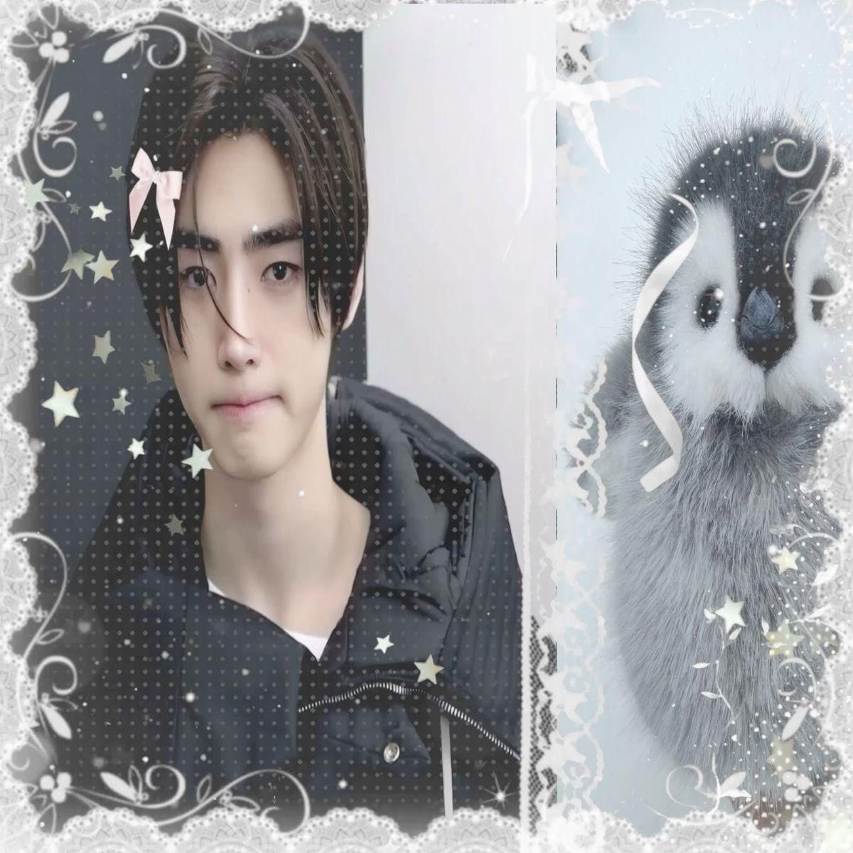 daisy 🍋 en 7 tweet media