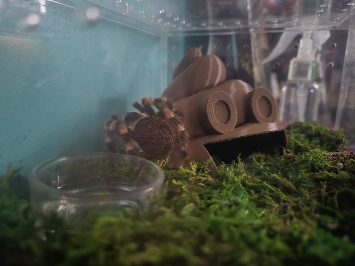 Dedgrldez tweet media