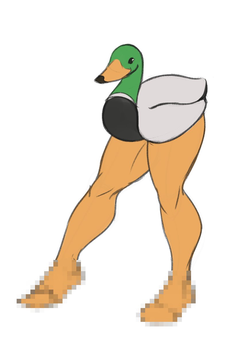 VotoN 🍺 tweet media